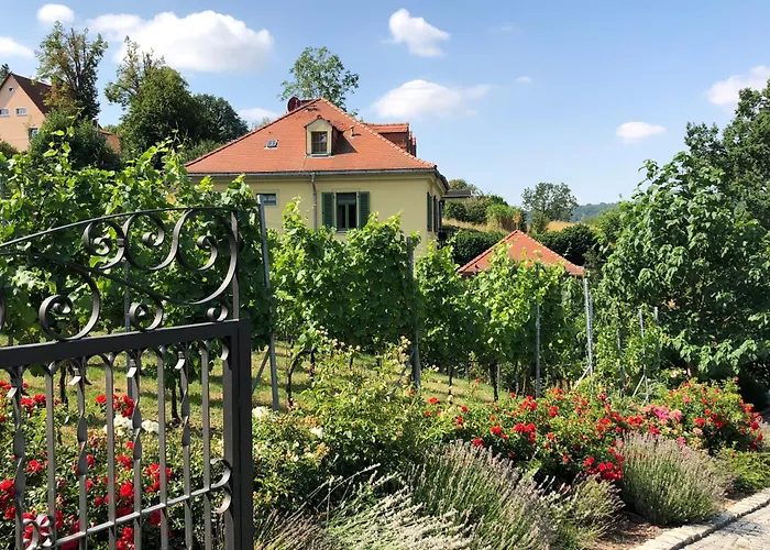 Rebenhaus Meissen