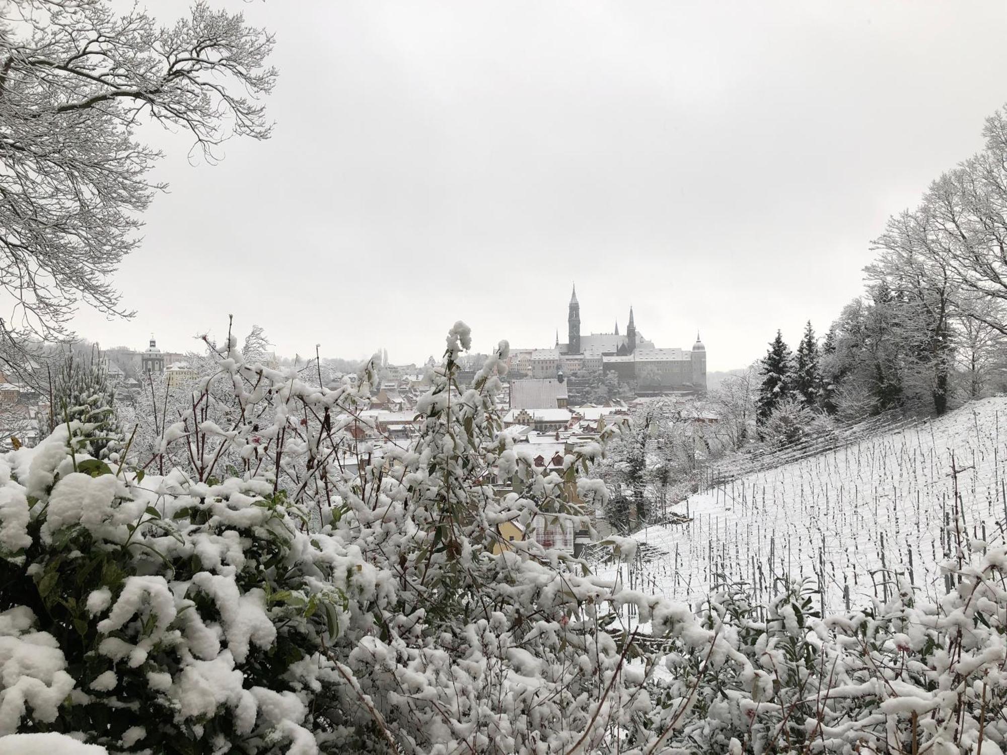 Rebenhaus * Meissen