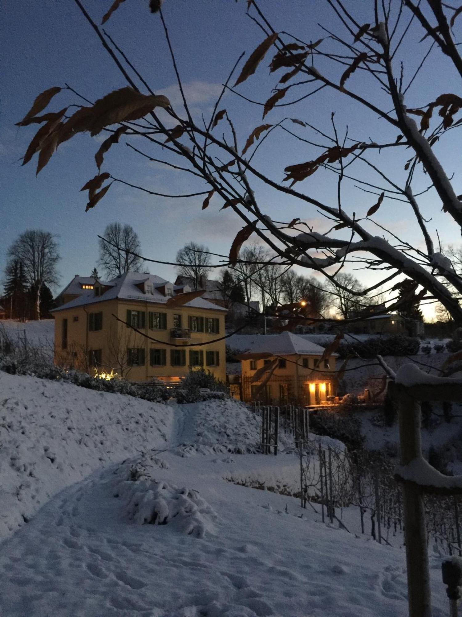 Rebenhaus *