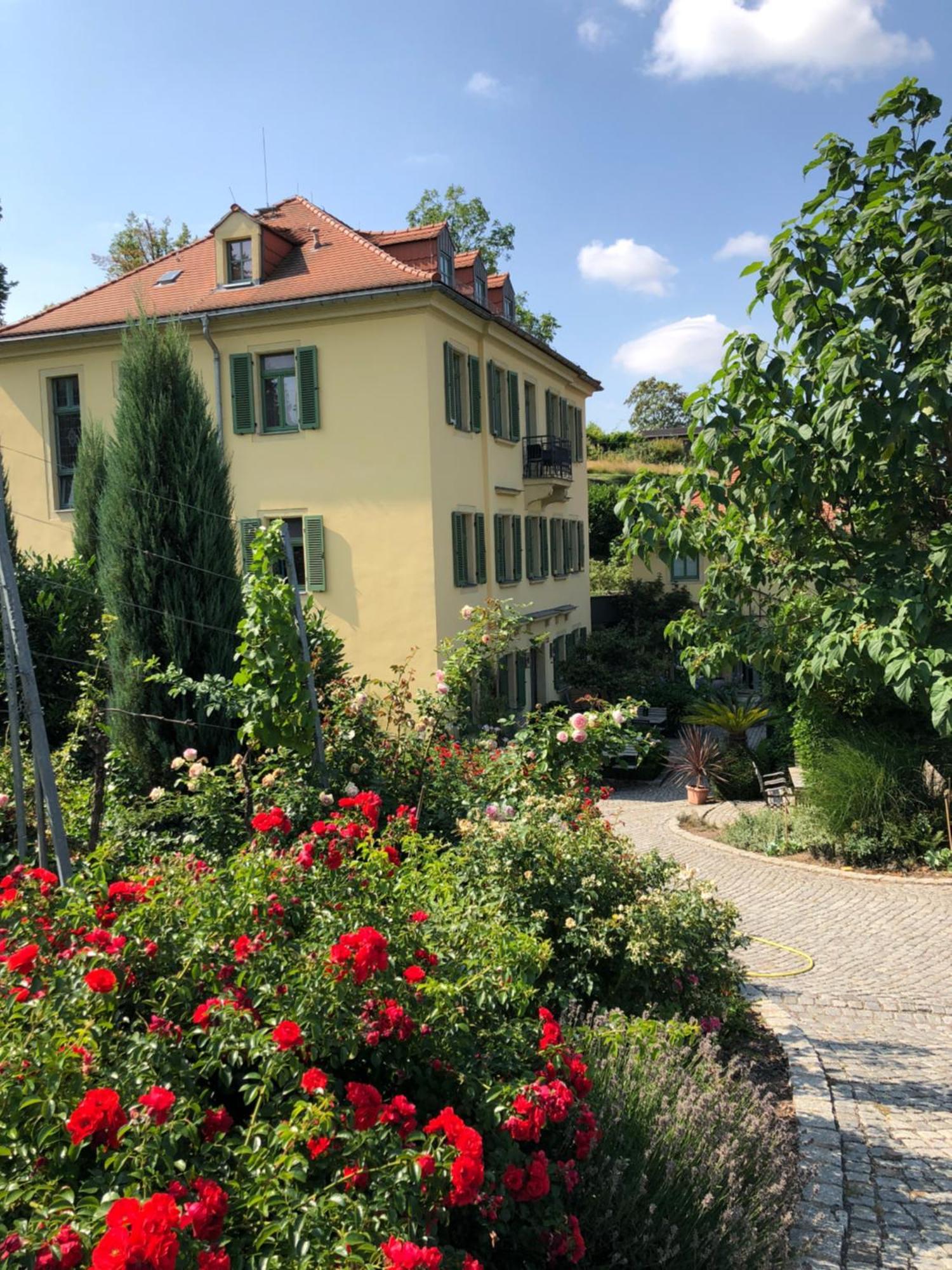 Rebenhaus * Meissen