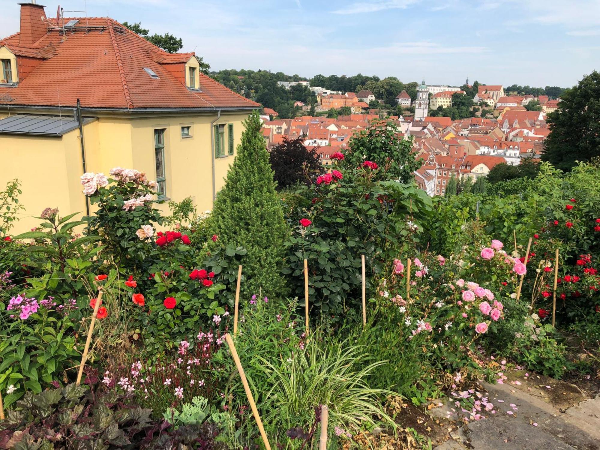 Rebenhaus Apartment Meissen