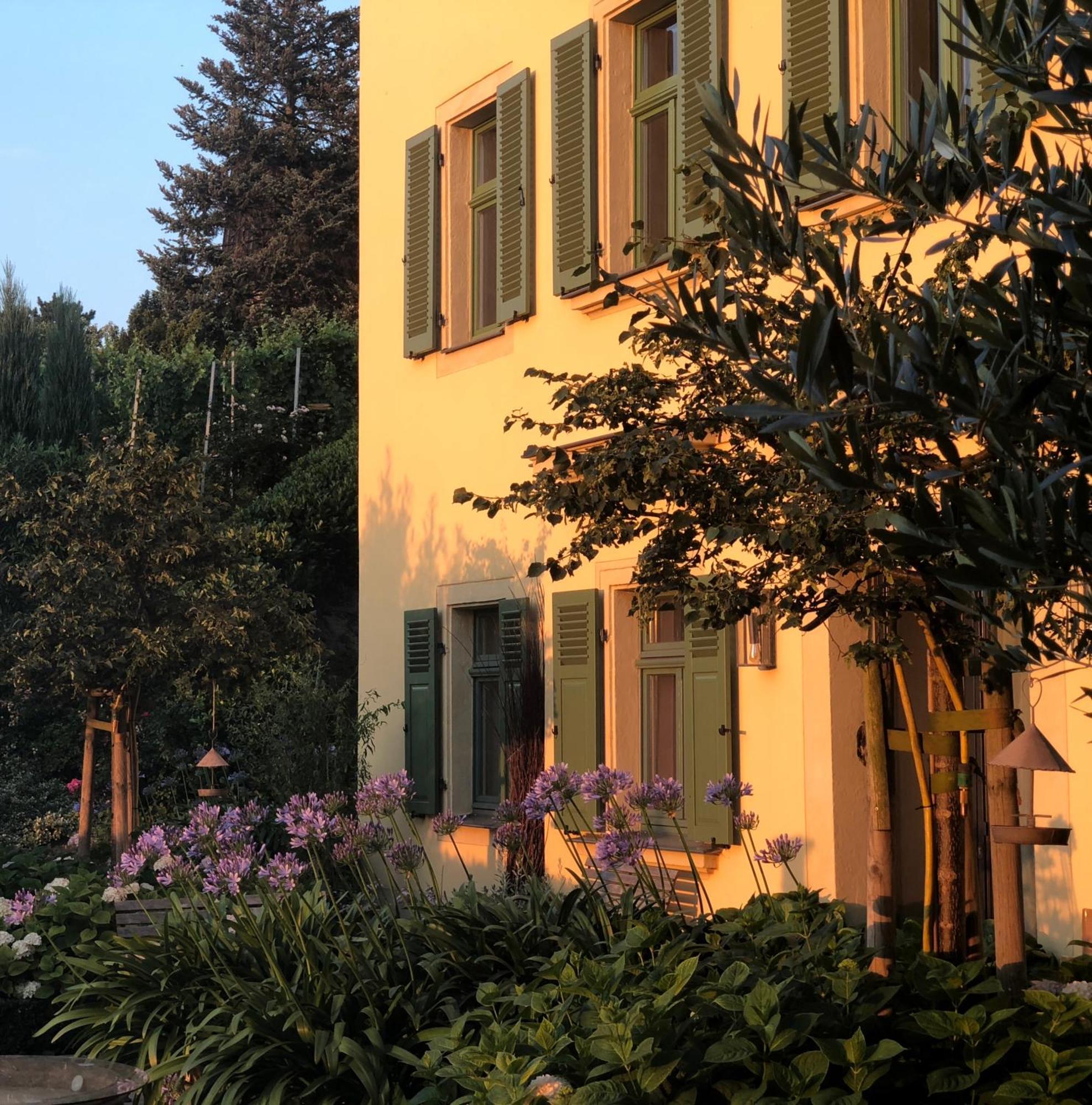 Rebenhaus Apartment