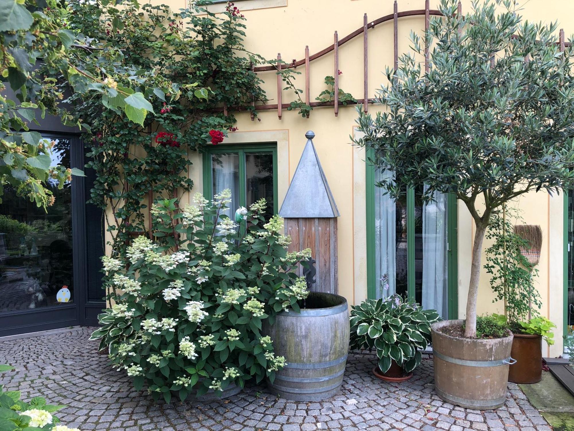 Rebenhaus Apartment