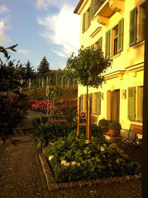 Rebenhaus Meissen